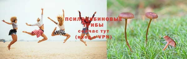 герыч Алексеевка