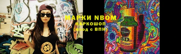 метадон Алексин